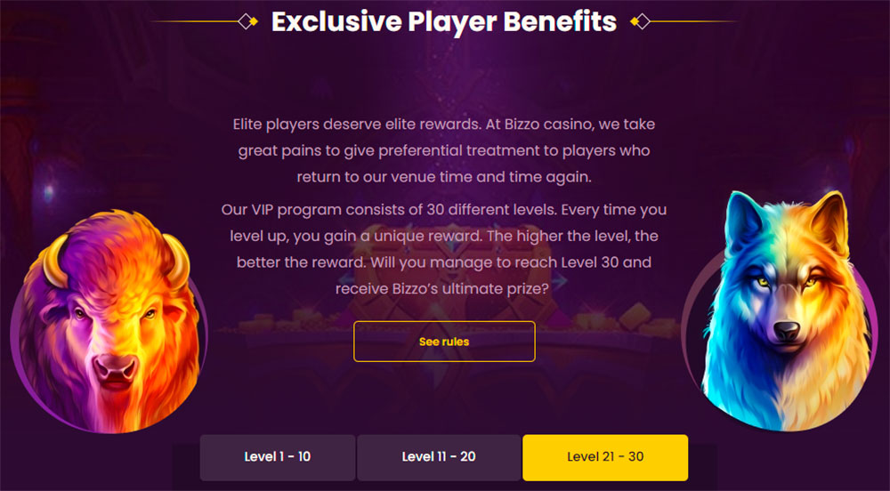 Bizzo Casino VIP