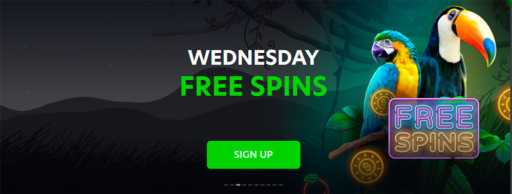 NeoSpin Casino Free Spins