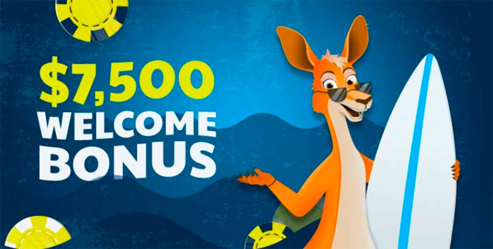 Welcoming bonus in the Ripper casino