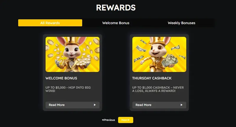 Bonus program of the ZumiBet casino website